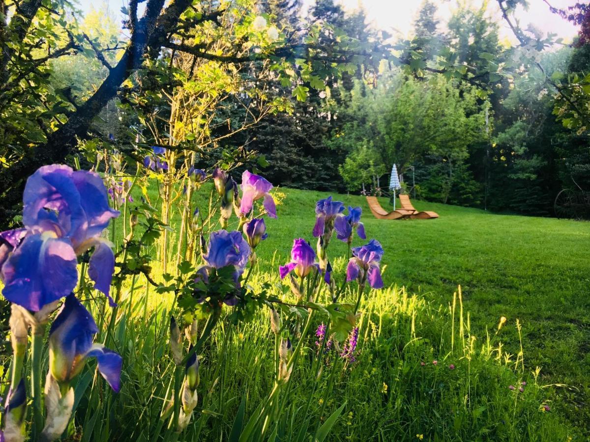 Chambre D'Hotes La Grange Des Ecrins Chabottes Εξωτερικό φωτογραφία