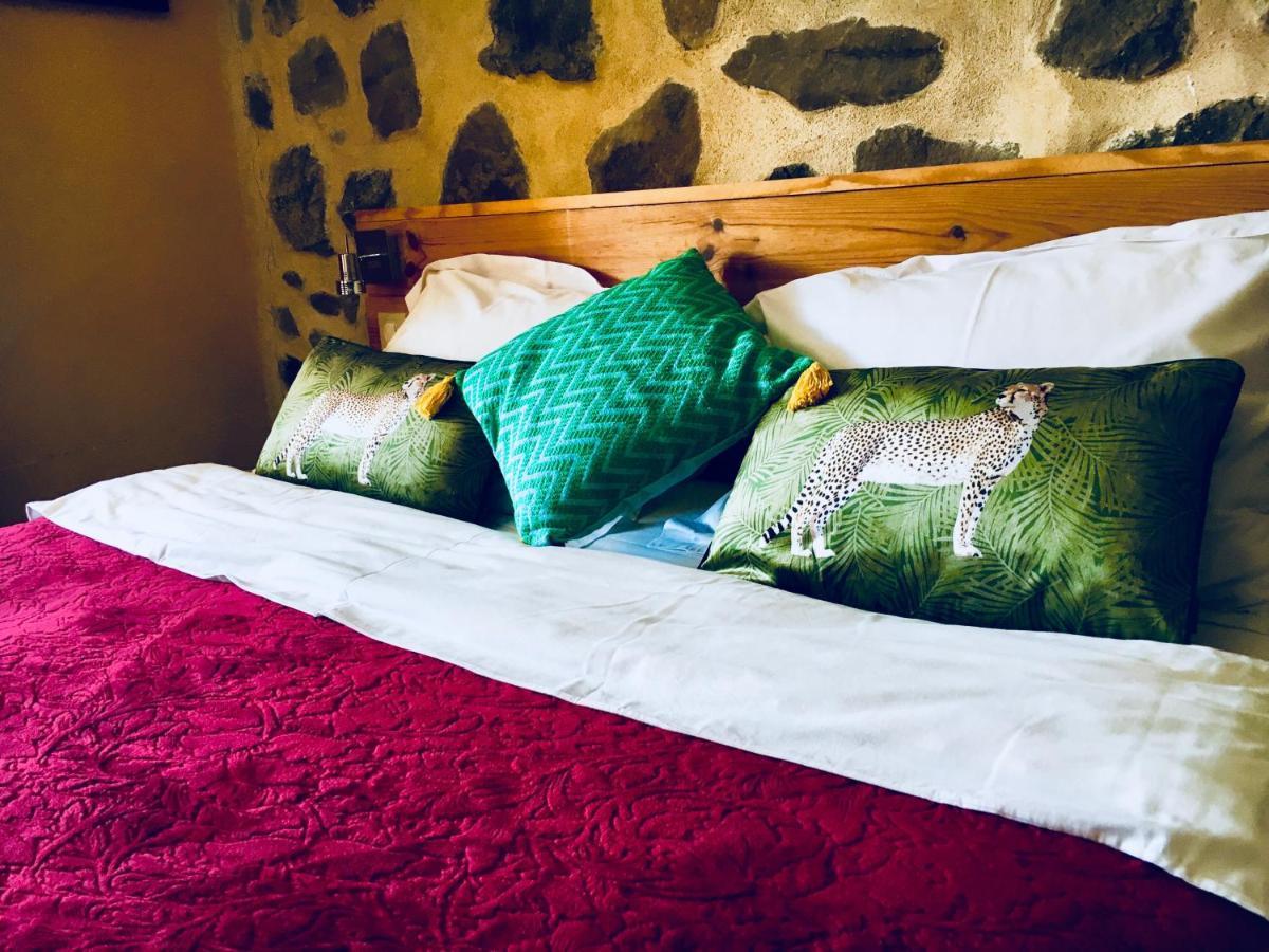 Chambre D'Hotes La Grange Des Ecrins Chabottes Εξωτερικό φωτογραφία